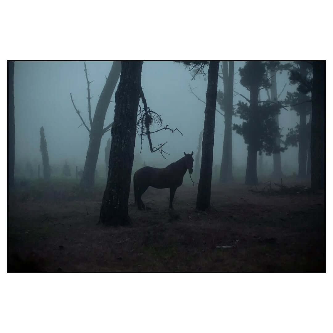Luis Piñero - Foto y vídeo documental